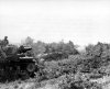M4 Sherman (5)